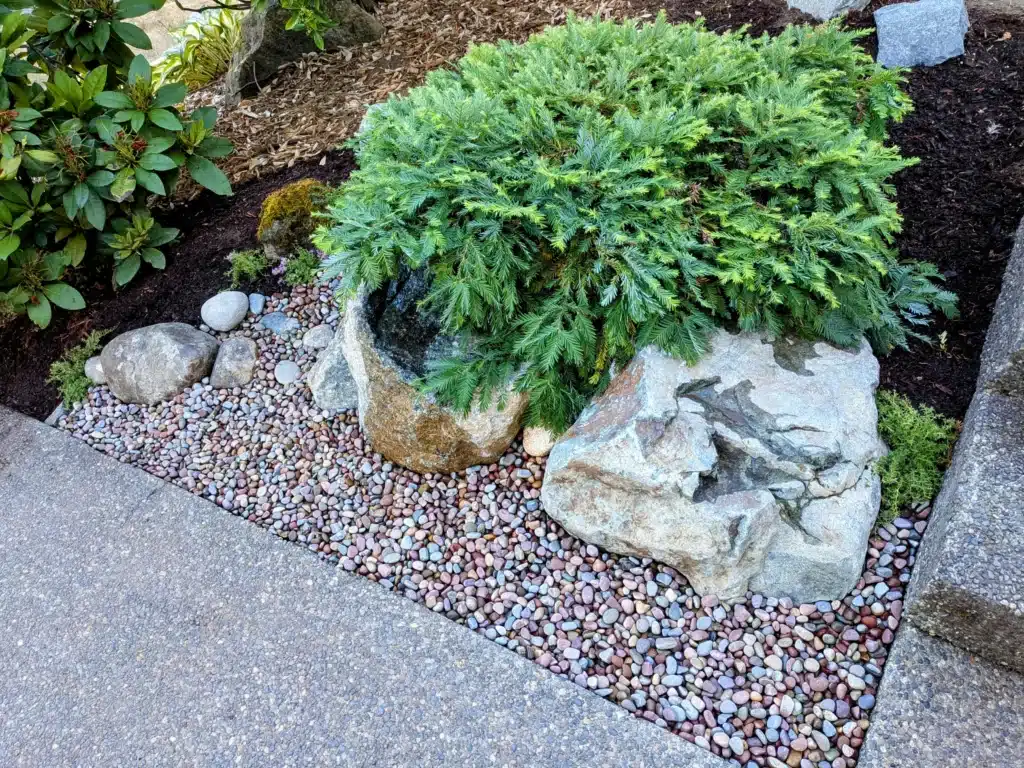 A small garden bed with rocks, pebbles, mulch, and a bush next to a concrete path.
