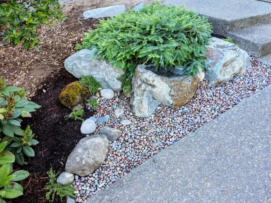 A small landscaped garden with rocks, pebbles, greenery, and concrete steps on the right.