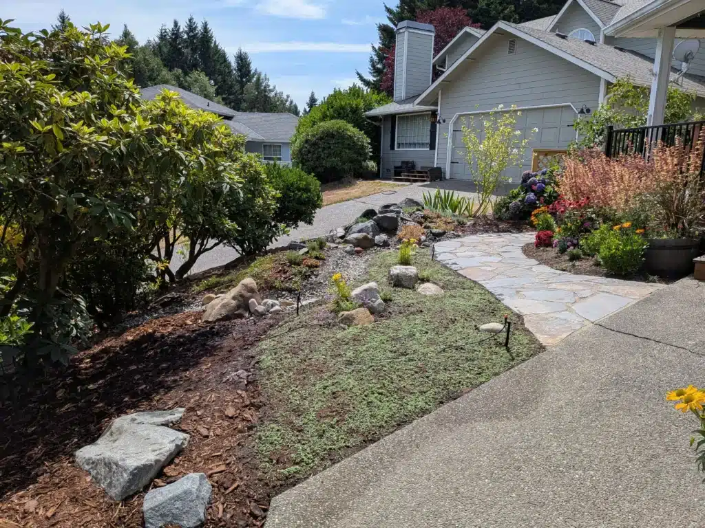 Front yard with stone path, landscaped plants, rocks, and a house in the background under a blue sky.
