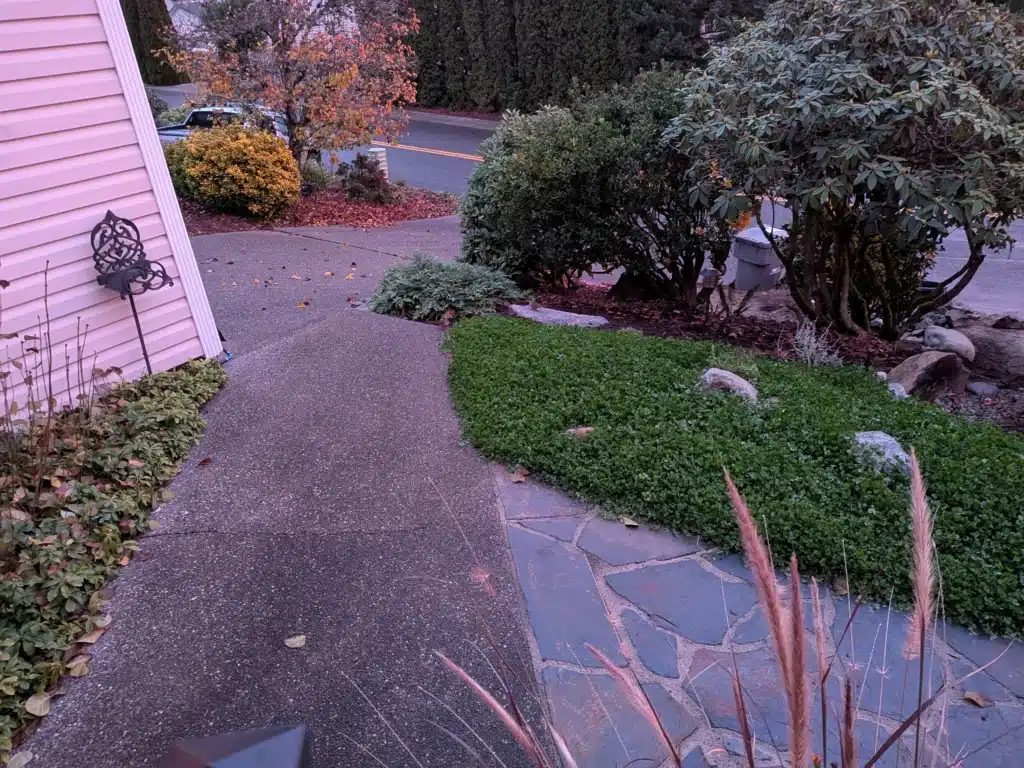 Curved sidewalk with greenery and bushes, next to a pink house at sunset, facing a quiet street.